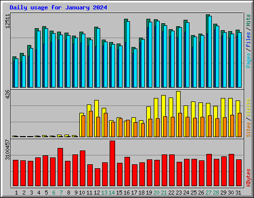 Daily usage for January 2024