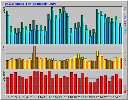 Daily usage for December 2024