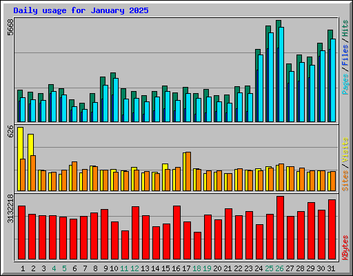 Daily usage for January 2025