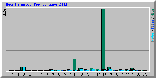 Hourly usage for January 2016