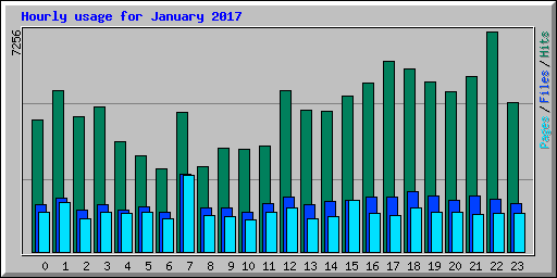 Hourly usage for January 2017
