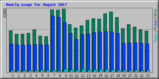 Hourly usage for August 2017