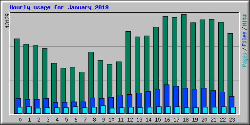 Hourly usage for January 2019