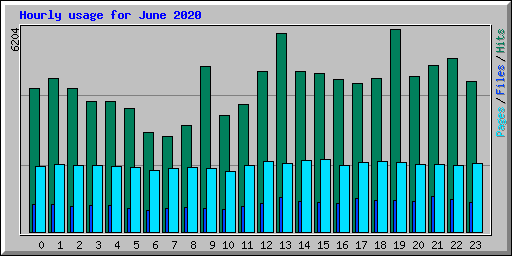 Hourly usage for June 2020