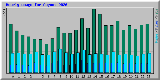 Hourly usage for August 2020