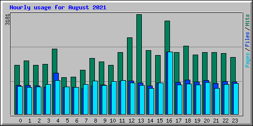Hourly usage for August 2021
