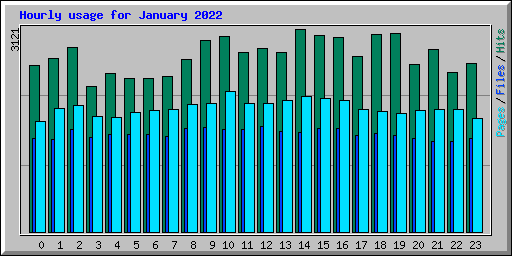 Hourly usage for January 2022