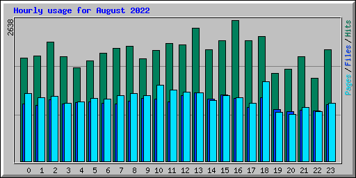 Hourly usage for August 2022