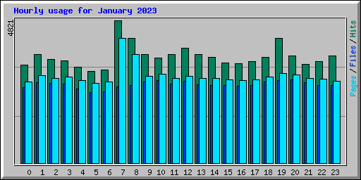 Hourly usage for January 2023