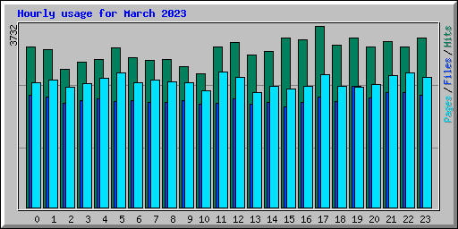 Hourly usage for March 2023