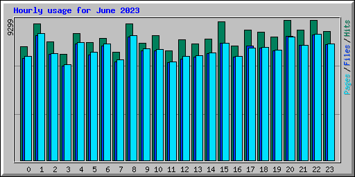 Hourly usage for June 2023