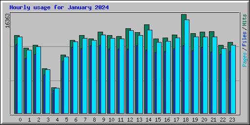 Hourly usage for January 2024