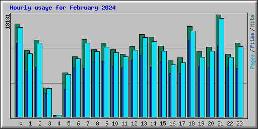 Hourly usage for February 2024
