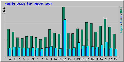 Hourly usage for August 2024