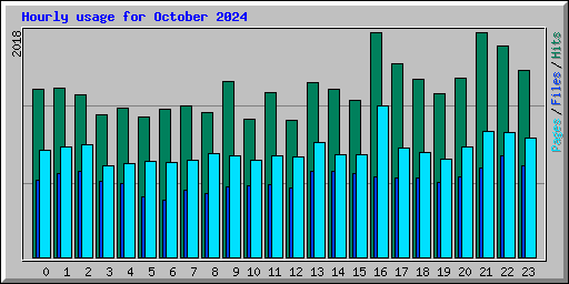 Hourly usage for October 2024