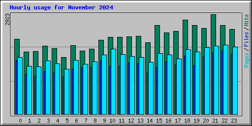 Hourly usage for November 2024