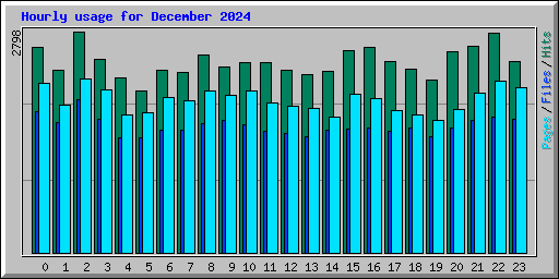 Hourly usage for December 2024