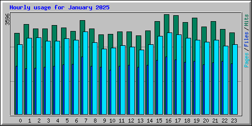 Hourly usage for January 2025