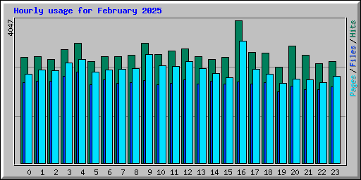 Hourly usage for February 2025