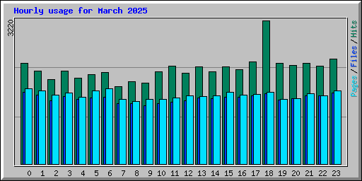 Hourly usage for March 2025