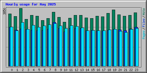 Hourly usage for May 2025