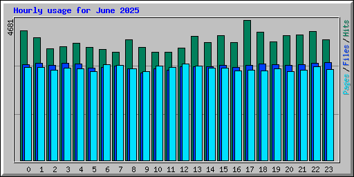 Hourly usage for June 2025