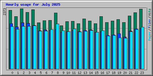 Hourly usage for July 2025